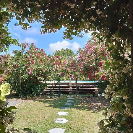 הוילה Maillane Cosy En Provence מראה חיצוני תמונה